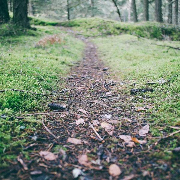 Breville Barista Express Espresso Machine